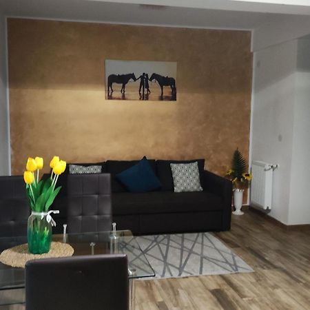 Apartament Lenus'K Apartment Bucharest Exterior photo